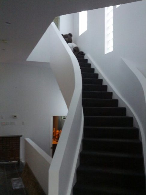 Modern House Painting