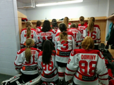 Local painting company sponsors hockey team