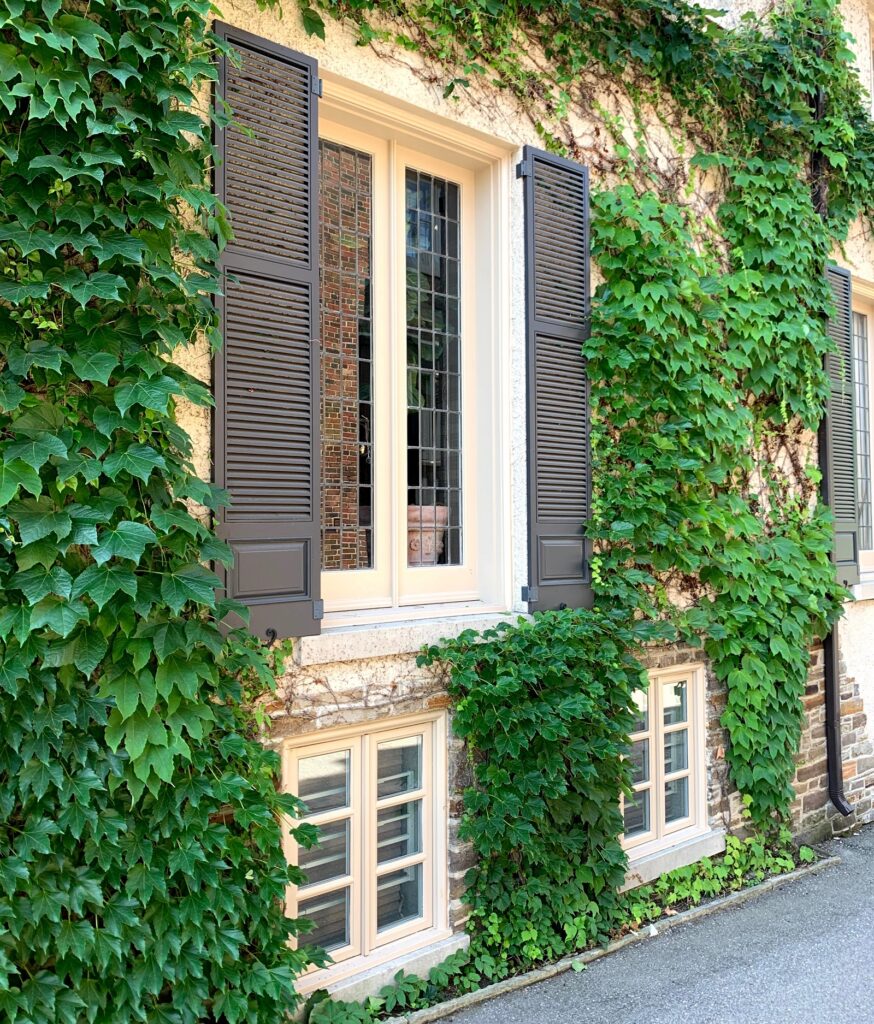 exterior painting in Forest Hill Toronto